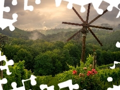 Winnice, Wzgórza, Styria, Pole, Drzewa, Kwiaty Róże, Austria