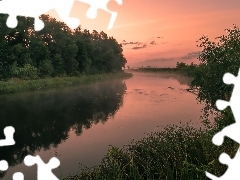 Krzewy, Zachód słońca, Drzewa, Trawa, Rzeka