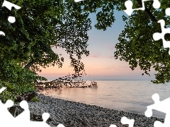 Drzewa, Wschód słońca, Plaża, Piasek, Morze