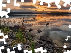 Rośliny, Zachód słońca, Kamienie, Trawa, Jezioro