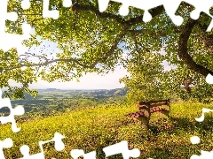 Ławka, Wzgórze, Niemcy, Wiosna, Badenia-Wirtembergia, Drze