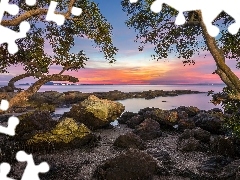 Jezioro, Zatoka Tajlandzka, Tajlandia, Zachód słońca, Prowincja Chonburi, Kamienie, Drzewa, Pattaya