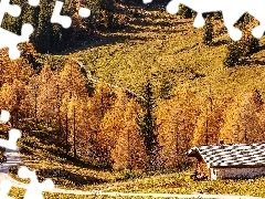 Dom, Droga, Niemcy, Drzewa, Bawaria, Góry, Jesień, Berchte