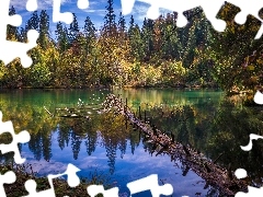 Jezioro, Kanton Gryzonia, Drzewa, Góry, Szwajcaria, Lake Cresta, Konar