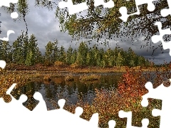 Krzewy, Rzeka, Roślinność, Drzewa, Jesień, Kolorowa, Chm