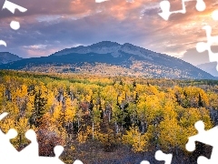 Kebler Pass, Stany Zjednoczone, Drzewa, Góry, Lasy, Chmury,