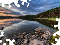 Kamienie, Jezioro, Wysokie, Drzewa, Lasy, Brzeg