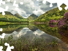 Góry, Jezioro, Różaneczniki, Szkocja, Krzewy, Lochan Urr