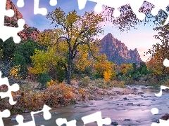 Drzewa, Góry, Stany Zjednoczone, Rzeka, Stan Utah, Góra Wa
