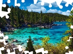 Kamienie, Drzewa, Stany Zjednoczone, Las, Kalifornia, Tahoe 