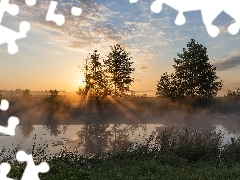 Przebijające światło, Rzeka, Drzewa