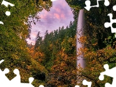 Roślinność, South Falls, Drzewa, Stan Oregon, Skały, Wod
