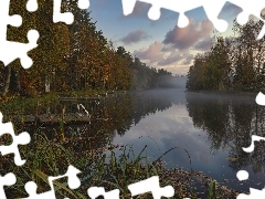 Drzewa, Jezioro, Pomosty, Mgła, Jesień, Las, Szuwary