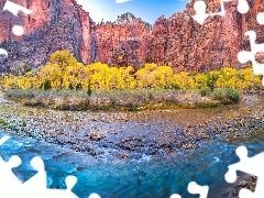 Drzewa, Park Narodowy Zion, Stan Utah, Stany Zjednoczone, Rz