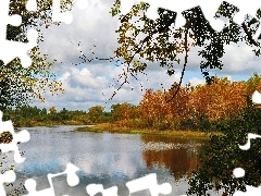Liście, Jezioro, Chmury, Drzewa, Park, Gałęzie, Jesień