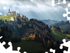 Drzewa, Kościół, Gmina Idrija, Saint Lenart Church, Wzgórze, Wieś Crni Vrh, Słowenia