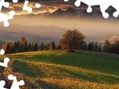Drzewa, Góry, Wschód słońca, Chmury, Mgła, Lasy