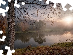 Rzeka, Wschód słońca, Istra, Drzewo, Obwód moskiewski, R