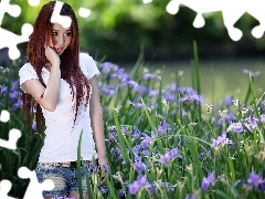 Park, Klomb, Dziewczyna, Irysy