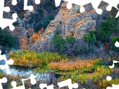 Park stanowy Malibu Creek, Rzeka Malibu Creek, Roślinność