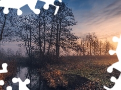 Drzewa, Jesień, Mgła, Wschód słońca, Rzeka, Łąka