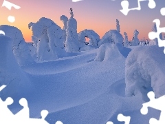 Drzewa, Ośnieżone, Śnieg, Zaspy, Zima