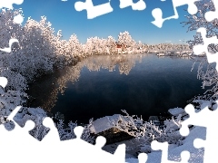 Zaśnieżone, Drzewa, Jezioro, Dom, Zima