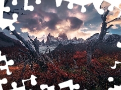 Fitz Roy, Jesień, Drzewa, Park Narodowy Los Glaciares, Prom