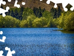 Zielony, Las, Nowa Zelandia, Drzewa, Region Canterbury, Kelland Ponds, Staw, Twizel