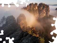 Gęsta, Góry, Drzewa, Sosny, Mgła, Skały