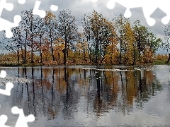 Drzewa, Jezioro