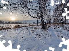 Rzeka, Słońce, Drzewa, Brzozy, Zima