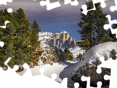 Sella Towers, SkaÅ‚y, WÅ‚ochy, Drzewa, PoÅ‚udniowy Tyrol, GÃ