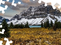 Bow Lake, Góry, Drzewa, Polana, Prowincja, Kanada, Park Nar