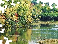 Jezioro, Drzewa