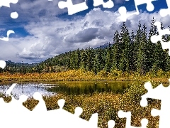 Chmury, Drzewa, Trawa, Alberta, Szczyty, Jezioro, Świerki, 