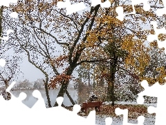 Ławka, Śnieg, Staw, Park, Jesień