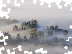 Mgła, Las, Pieniny, Drzewa, Jesień, Poranek, Polska