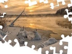 Las, Mgła, Jezioro, Śnieg, Zima