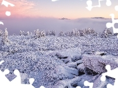 Śnieg, Roślinność, Czechy, Skały, Kraj ołomuniecki, G