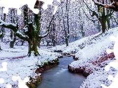 Drzewa, Las, Hiszpania, Rzeczka, Kraj Basków, Zima, Park Na