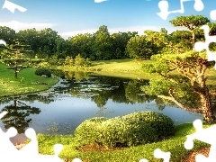 Staw, Drzewa, Park, Ogród, Stan Illinois, Stany Zjednoczone, Chicago Botanical Garden, Glencoe, Botaniczny