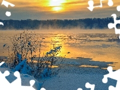 Mgła, Las, Zachód słońca, Ośnieżone, Śnieg, Jezioro, Zima, Trawy