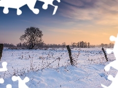Zima, Wschód słońca, Ogrodzenie, Drzewa