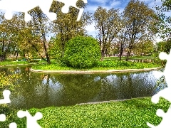 Lato, Park, Drzewa, Staw