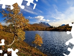 Drzewa, Brzozy, Góry, Jezioro, Jesień