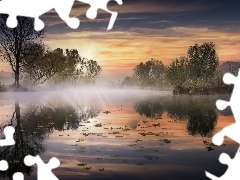 Szuwary, Staw, Mgła, Wschód słońca, Odbicie, Drzewa