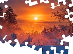 Mgła, Śnieg, Polska, Drzewa, Wschód słońca, Rzeka Gwda, Zima, Krzewy