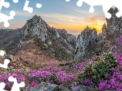 Korea Południowa, Skały, Kwiaty, Góry Jujaksan