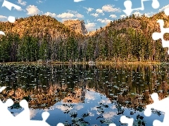 Nymph Lake, Drzewa, Stany Zjednoczone, Park Narodowy Gór Sk